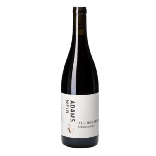Weingut Adams Ingelheim Spätburgunder 'Auf dem Haun' - DiVino.com.au