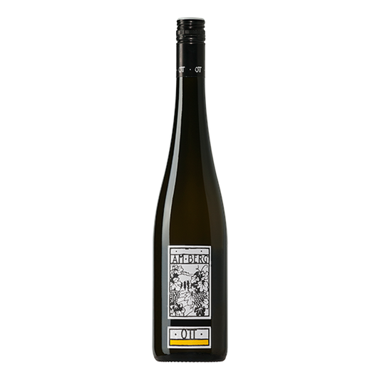 Weingut Bernhard Ott Am Berg Grüner Veltliner - DiVino.com.au
