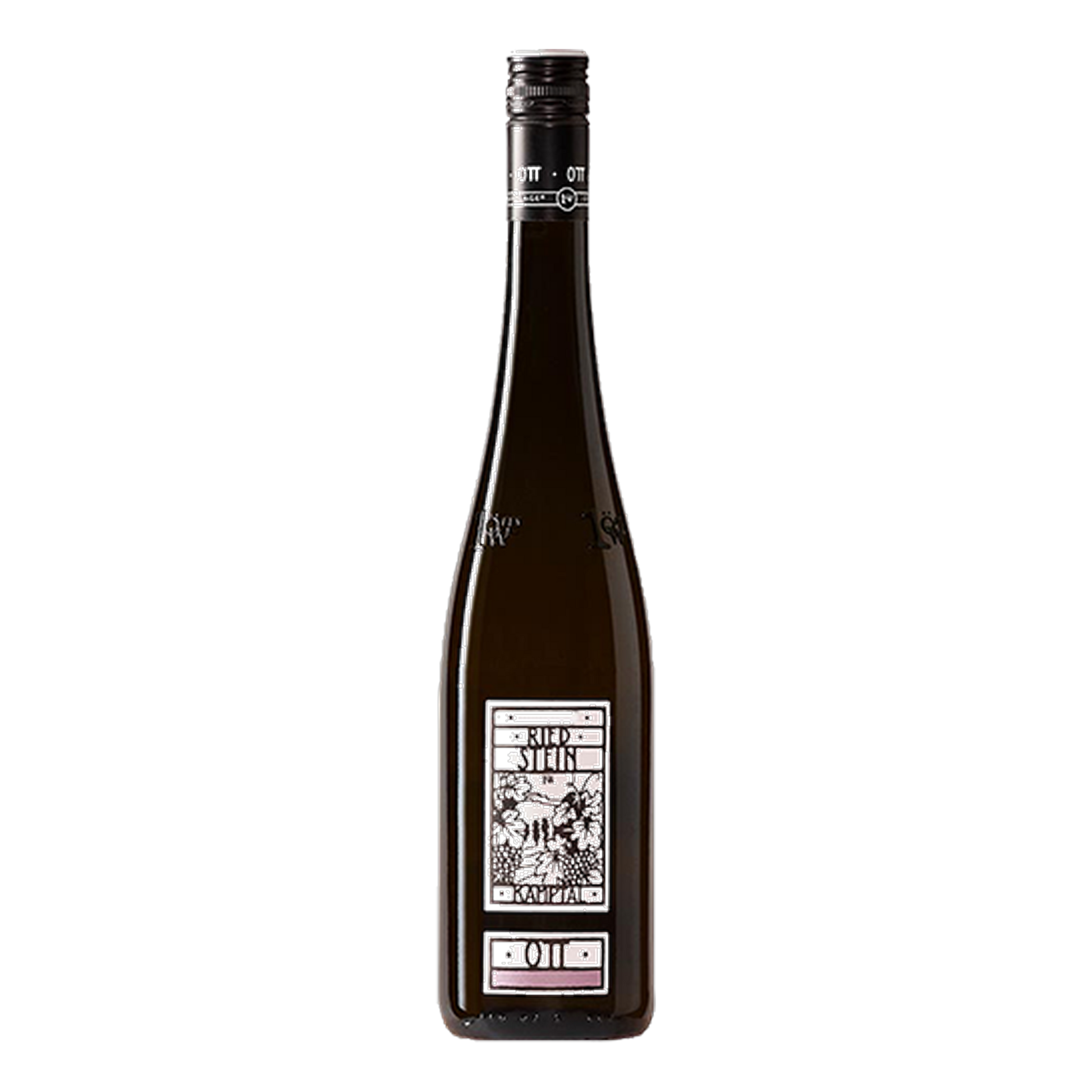 Weingut Bernhard Ott Ried Stein Engabrunn Grüner Veltliner - DiVino.com.au